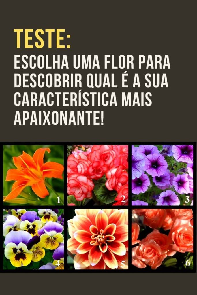 Escolha uma flor para descobrir qual é a sua característica mais