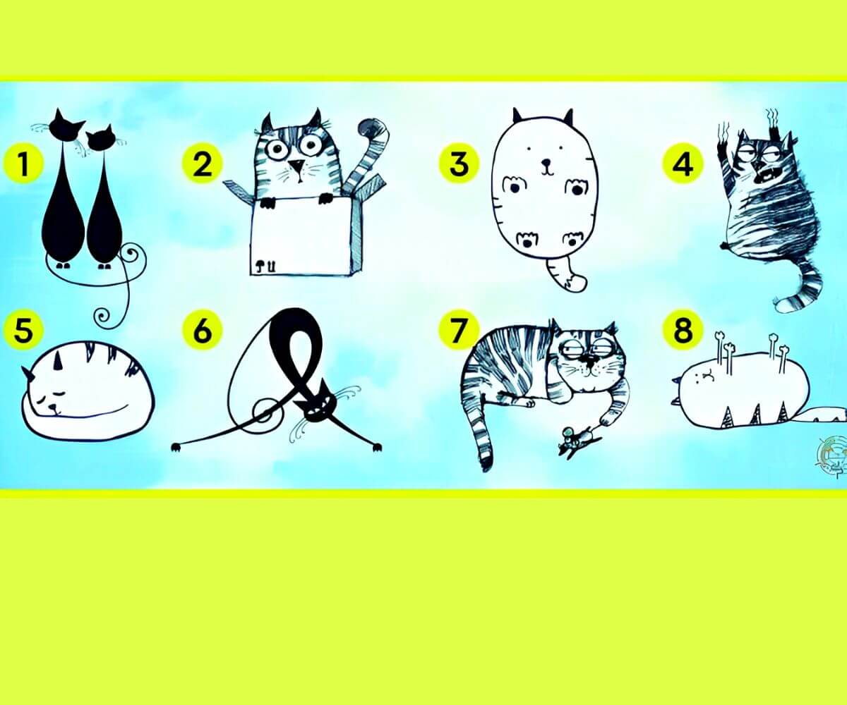 8 melhor ideia de Ache o gato  imagens ocultas, desafios, ache o gato
