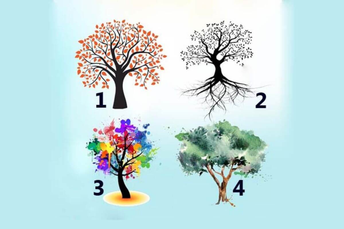 Тест 4 дерева. Дерево характера. Тест дерево. Тренинг деревья характеры. Психологические тесты.