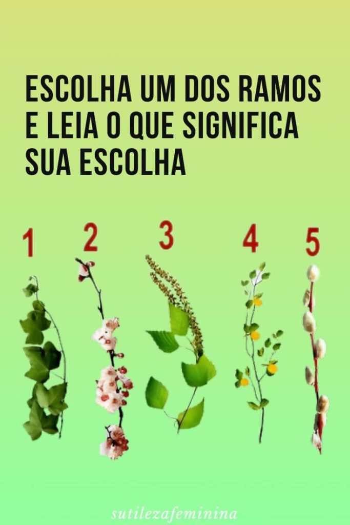 Escolha um dos ramos e leia o que significa sua escolha